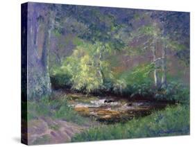 Forest Stream, 2002-Anthony Rule-Stretched Canvas