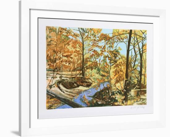 Forest Stream 7-John Healy-Framed Collectable Print