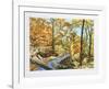 Forest Stream 7-John Healy-Framed Collectable Print