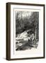 Forest Stream, and Timber Slide, Canada, Nineteenth Century-null-Framed Giclee Print