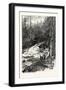 Forest Stream, and Timber Slide, Canada, Nineteenth Century-null-Framed Giclee Print