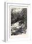 Forest Stream, and Timber Slide, Canada, Nineteenth Century-null-Framed Giclee Print