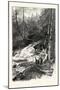 Forest Stream, and Timber Slide, Canada, Nineteenth Century-null-Mounted Giclee Print