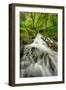 Forest Stream, Columbia River Gorge-Vincent James-Framed Photographic Print