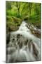 Forest Stream, Columbia River Gorge-Vincent James-Mounted Photographic Print