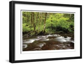 Forest Stream III-Donald Paulson-Framed Giclee Print