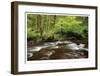 Forest Stream III-Donald Paulson-Framed Giclee Print