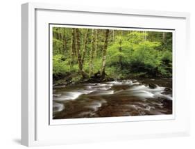 Forest Stream III-Donald Paulson-Framed Giclee Print