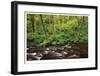 Forest Stream IV-Donald Paulson-Framed Giclee Print