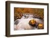 Forest, Stream, Rapids-Thomas Ebelt-Framed Photographic Print