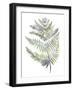 Forest Study I-Sandra Jacobs-Framed Giclee Print