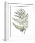 Forest Study I-Sandra Jacobs-Framed Giclee Print