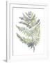 Forest Study I-Sandra Jacobs-Framed Giclee Print