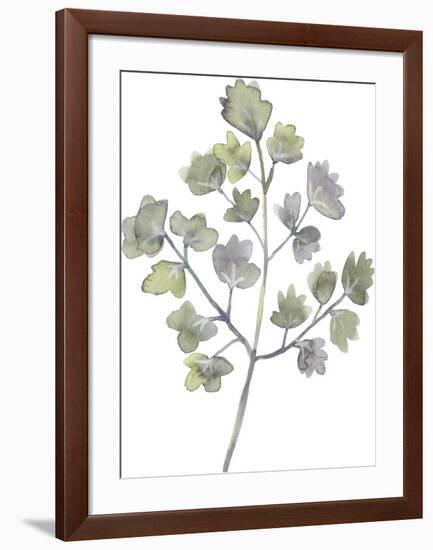 Forest Study II-Sandra Jacobs-Framed Giclee Print