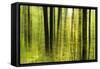 Forest Study with Motion Blur and Digital Image Processing, Deciduous Forest in the Spring-Andreas Vitting-Framed Stretched Canvas