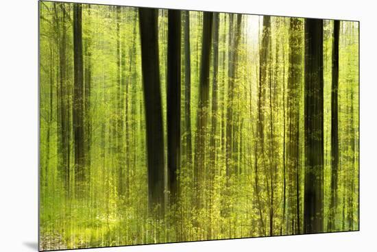 Forest Study with Motion Blur and Digital Image Processing, Deciduous Forest in the Spring-Andreas Vitting-Mounted Premium Photographic Print