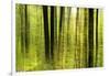 Forest Study with Motion Blur and Digital Image Processing, Deciduous Forest in the Spring-Andreas Vitting-Framed Photographic Print