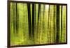 Forest Study with Motion Blur and Digital Image Processing, Deciduous Forest in the Spring-Andreas Vitting-Framed Photographic Print