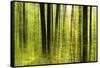 Forest Study with Motion Blur and Digital Image Processing, Deciduous Forest in the Spring-Andreas Vitting-Framed Stretched Canvas