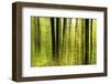 Forest Study with Motion Blur and Digital Image Processing, Deciduous Forest in the Spring-Andreas Vitting-Framed Photographic Print