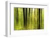 Forest Study with Motion Blur and Digital Image Processing, Deciduous Forest in the Spring-Andreas Vitting-Framed Photographic Print