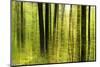 Forest Study with Motion Blur and Digital Image Processing, Deciduous Forest in the Spring-Andreas Vitting-Mounted Photographic Print