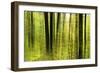 Forest Study with Motion Blur and Digital Image Processing, Deciduous Forest in the Spring-Andreas Vitting-Framed Photographic Print