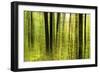 Forest Study with Motion Blur and Digital Image Processing, Deciduous Forest in the Spring-Andreas Vitting-Framed Photographic Print