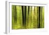 Forest Study with Motion Blur and Digital Image Processing, Deciduous Forest in the Spring-Andreas Vitting-Framed Photographic Print