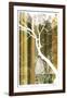 Forest Study-Mj Lew-Framed Giclee Print