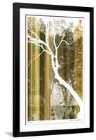 Forest Study-Mj Lew-Framed Giclee Print