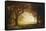 Forest Sunrise-Albert Bierstadt-Framed Stretched Canvas