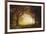 Forest Sunrise-Albert Bierstadt-Framed Giclee Print