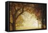 Forest Sunrise-Albert Bierstadt-Framed Stretched Canvas