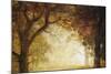 Forest Sunrise-Albert Bierstadt-Mounted Giclee Print