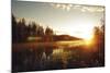 Forest Sunset-Andreas Stridsberg-Mounted Giclee Print