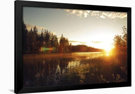 Forest Sunset-Andreas Stridsberg-Framed Giclee Print