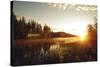 Forest Sunset-Andreas Stridsberg-Stretched Canvas