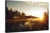 Forest Sunset-Andreas Stridsberg-Stretched Canvas