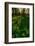 Forest Sunset-Steve Gadomski-Framed Photographic Print