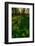 Forest Sunset-Steve Gadomski-Framed Photographic Print