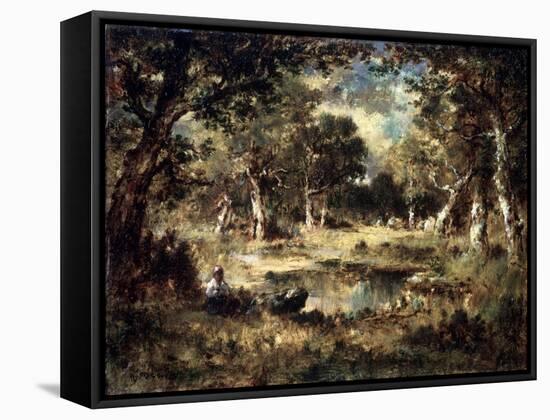 Forest Swamp, 1870-Narcisse Virgile Diaz de la Pena-Framed Stretched Canvas