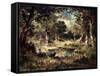 Forest Swamp, 1870-Narcisse Virgile Diaz de la Pena-Framed Stretched Canvas