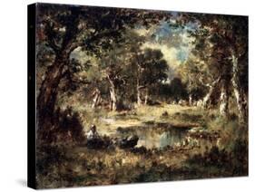 Forest Swamp, 1870-Narcisse Virgile Diaz de la Pena-Stretched Canvas