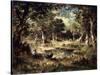 Forest Swamp, 1870-Narcisse Virgile Diaz de la Pena-Stretched Canvas