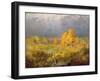 Forest Swamp in Autumn, C.1872-Fedor Aleksandrovich Vasiliev-Framed Giclee Print