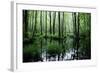 Forest Swamp-ONiONAstudio-Framed Photographic Print