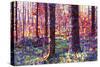 Forest Tapestry-Mandy Budan-Stretched Canvas