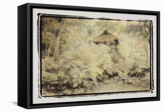 Forest Thatch, Guatemala-Theo Westenberger-Framed Stretched Canvas