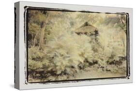 Forest Thatch, Guatemala-Theo Westenberger-Stretched Canvas